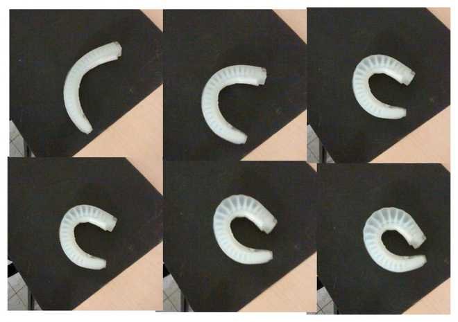 Tentacle contraction