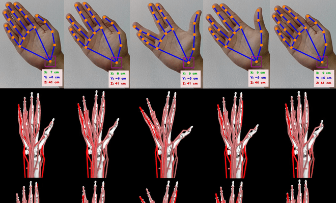 Trajectory captured by camera and its reconstruction in the musculoskeletal model