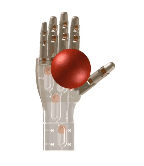 Grasp in the model