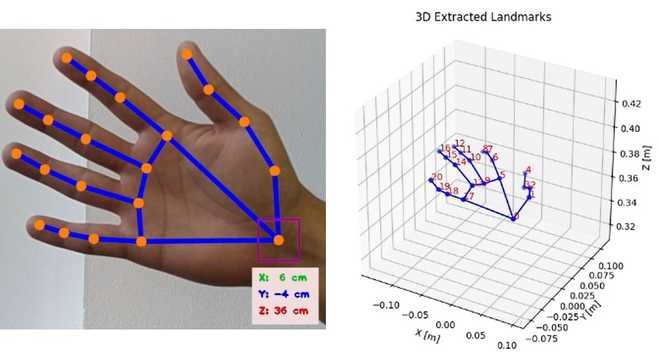 Hand landmarks