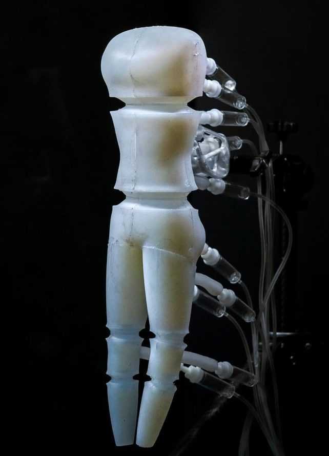 Prototype of the shape-shifting mannequin