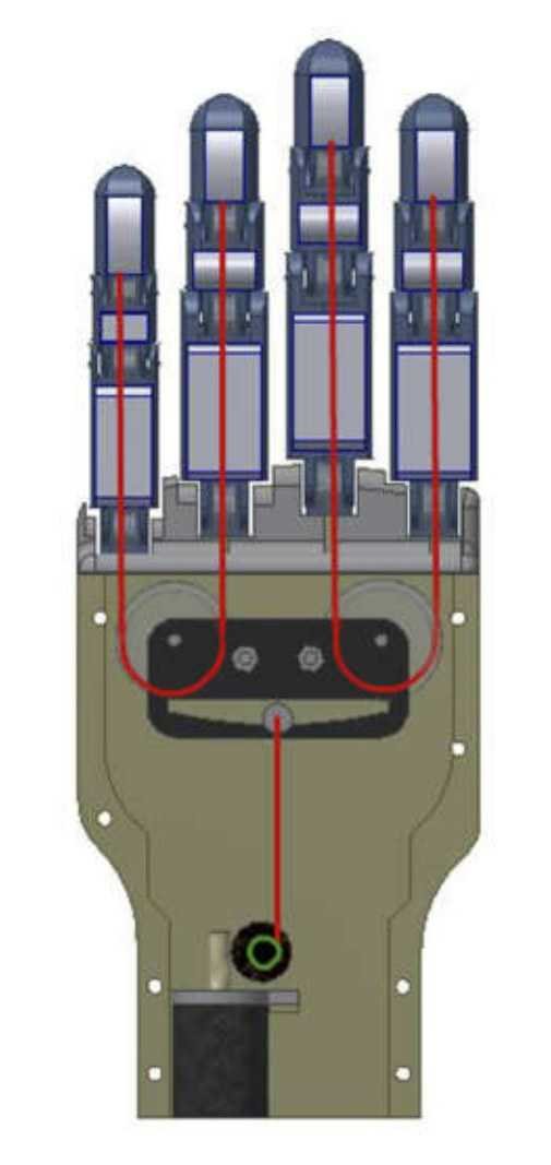 Cord routing