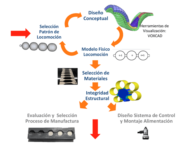 Proposed methodology