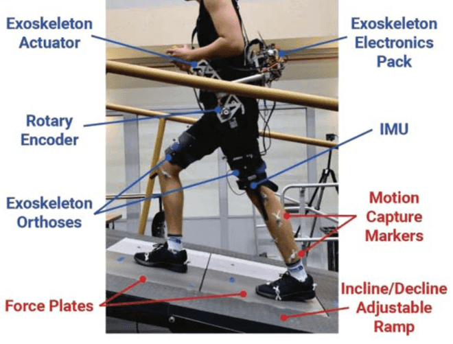 Hip Exoskeleton