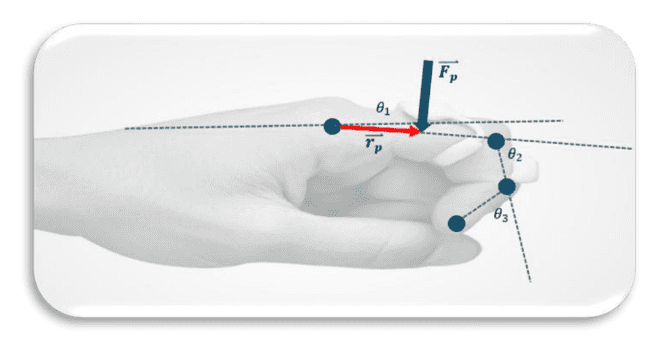 Modelo de torque sobre la falange